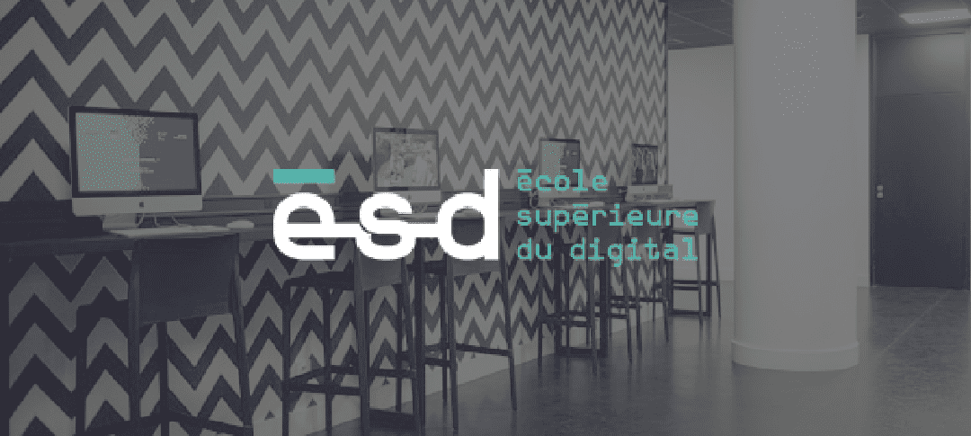 ILLUSTRATION_ESD